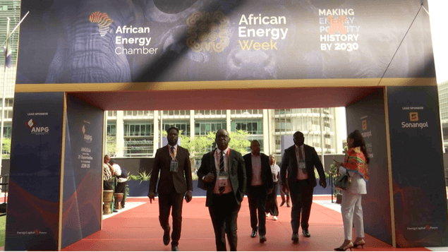 Delegates entering through the African Energy Week branded archway