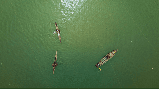 Aerial view of fishing boats and net lines on green water