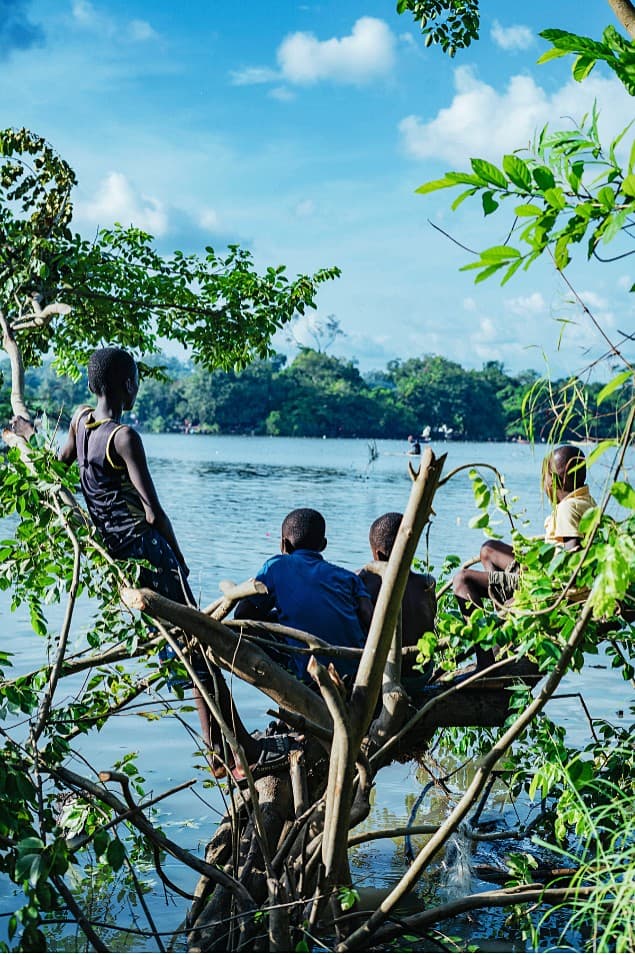 Boys perched on a tree overlooking the river